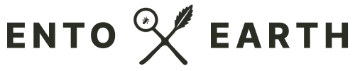 ENTO X EARTH